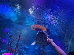 -沈阳海洋探索中心