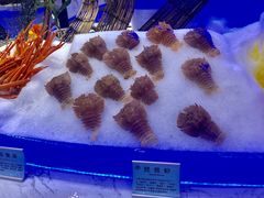 -澜悦港海鲜体验主题餐厅