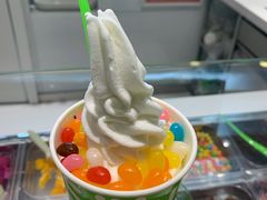 冻酸奶-Salud撒露欧洲冻酸奶(北苑上品店)
