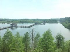 -溱湖国家湿地公园
