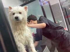 -宠物家(大兴旧宫店)
