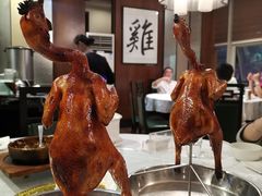 烧鸡-五稻厨房粤西菜(新闻店)
