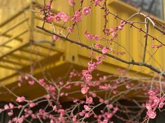 -尚湖风景区