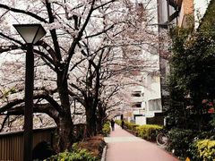 -成都濑川外国语学校