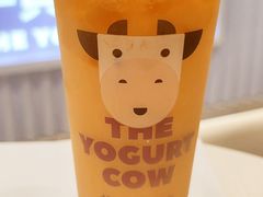 -一只酸奶牛(兰州中心店)