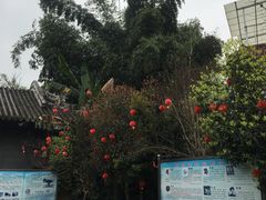 -生宇山珍野生菌汤锅•始于1999(双流古塔店)