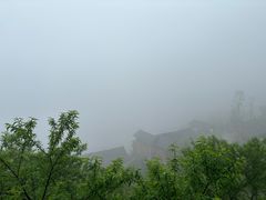 -紫鹊界梯田景区