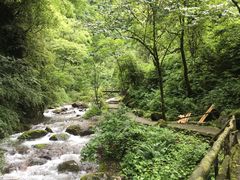 -西岭雪山大飞水景区