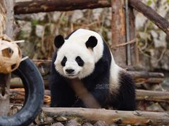 -泉州海丝野生动物世界