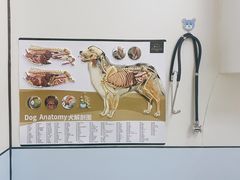 -中农国际动物医院24小时·猫科·骨科·急重症中心