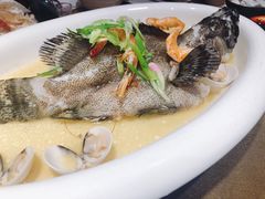 渔夫蒸珍珠斑-79号渔船海鲜饭店(华强北店)