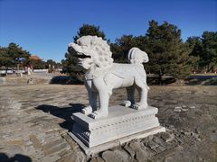 -清东陵