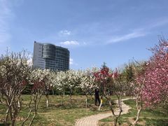 -康庄公园