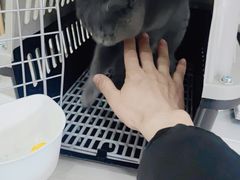 -瑞鹏瑞爱宠物医院·全科·猫科·血液透析中心(龙头寺店)