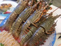 -半岛听涛蒸汽海鲜自助(K11店)