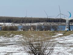 -塞罕坝国家级自然保护区