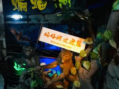 -游龙石文化科普馆