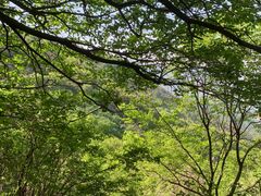 -阳台山自然风景区