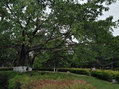 -沙河三洞古桥公园