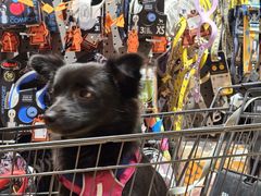 -MARSMART PETS火星宠物超市(1733店)