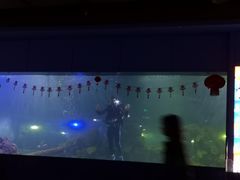 -重庆欢乐海底世界