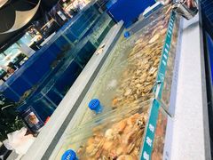 -圣罗巴海鲜自助(黑金店)