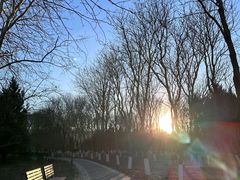 -东升八家郊野公园