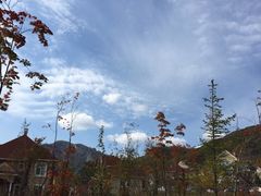 iphone_upload_pic-丹东天桥沟景区