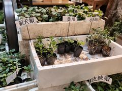 -双季花艺园艺市场(浦东店)