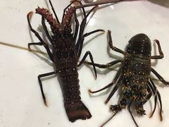 -海盗餐厅