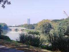 -海珠湖公园