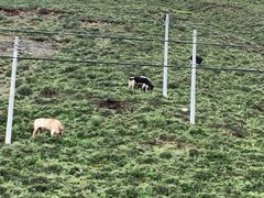 -松赞干布出生地