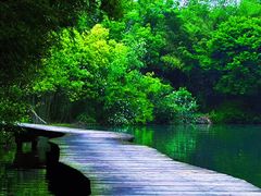 -西溪国家湿地公园