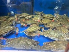 -小铜锣湾海鲜家常菜馆(河西店)
