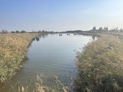 -黄沙古渡原生态旅游区