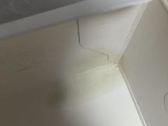 -魏家凉皮(梨园店)