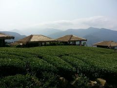 android_upload_pic-优游吧斯邹族文化部落