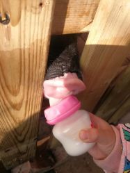 -萌宠亲子动物乐园(槐房万达店)