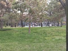 -唐城墙遗址公园