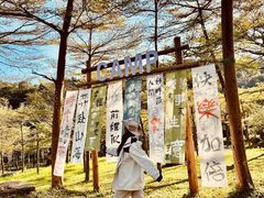 -田野绿世界