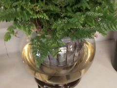 -静岸花卉园艺(三星坊店)