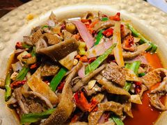 -天山醉美辣子鸡(文艺路店)