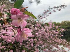 -乾园.魏庐湖景餐厅(花港店)