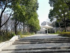 -新江湾城公园