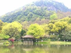 -八卦田遗址公园