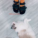 黑白棋盘格和荧光绿夏天summer green yyds