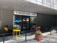 门面-油梨树 AVOCADO TREE(亮马桥店)