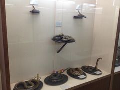 -下渚湖国家湿地公园科普馆