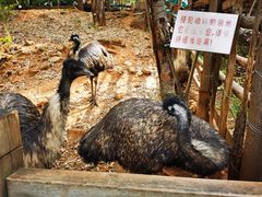 -昆明动物园