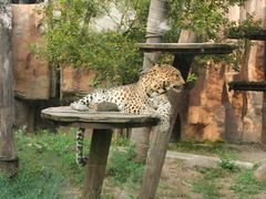 -沈阳森林动物园